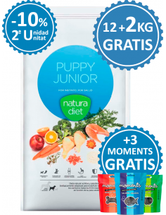 Dingo Natura Diet Puppy Junior Medium