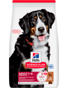 Hill`s Science Plan Dog Adult Large Xai i Arròs