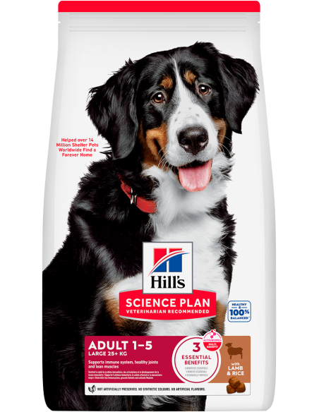 Hill`s Science Plan Dog Adult Large Cordero y Arroz