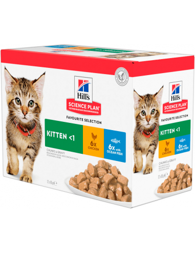 Hill`s Science Plan Cat Kitten Gravy Pollastre...
