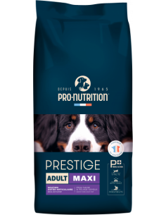 Flatazor Prestige Adult Maxi
